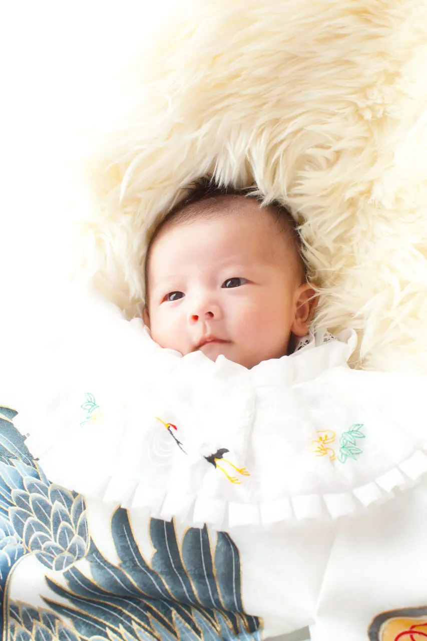 スタジオデータプラン　シェリー【お宮参り】