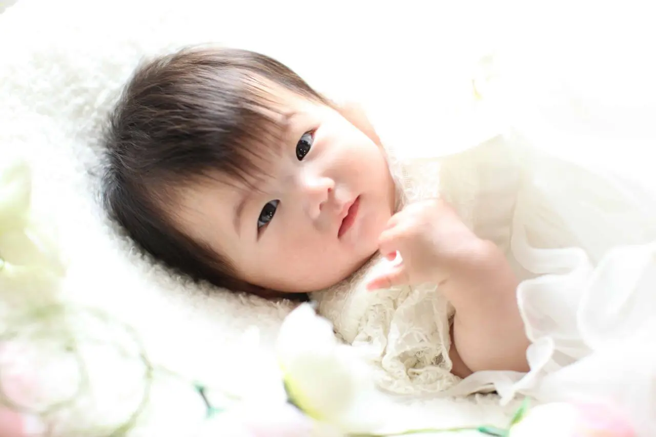 スタジオプラン　シェリー【百日】